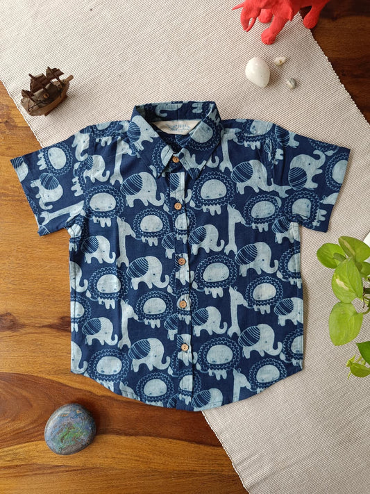 Roar and Stomp boy's regular collar shirt