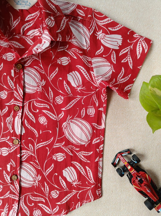 Crimson Garden Regular collar boy's shirt