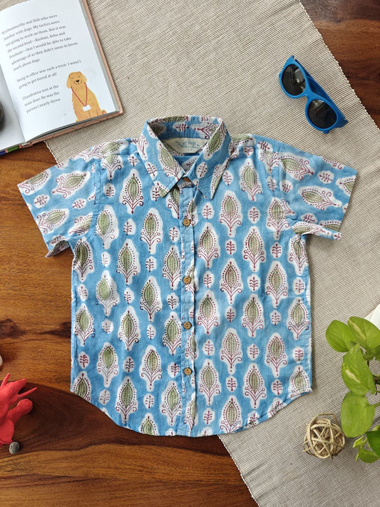 Sky Sprout Regular collar boy's shirt